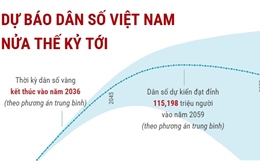 Dự báo dân số Việt Nam nửa thế kỷ tới