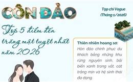 Côn Đảo - top 5 điểm đến tuần trăng mật tuyệt nhất năm 2026