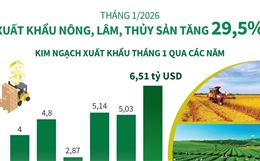 Tháng 1/2026: Xuất khẩu nông, lâm, thủy sản tăng 29,5%