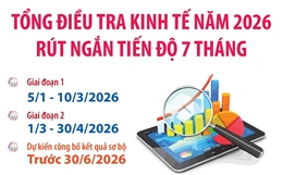 Kế hoạch Tổng điều tra kinh tế năm 2026 rút ngắn tiến độ 7 tháng