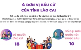 4 đơn vị bầu cử của tỉnh Lào Cai