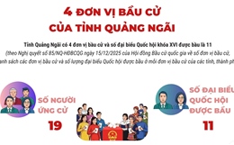4 đơn vị bầu cử của tỉnh Quảng Ngãi