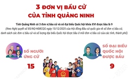 3 đơn vị bầu cử của tỉnh Quảng Ninh