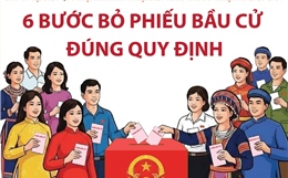Bầu cử Quốc hội và HĐND: 6 bước bỏ phiếu bầu cử đúng quy định