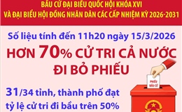 Hơn 70% cử tri đã đi bỏ phiếu (tính đến 11h20 ngày 15/3/2026)