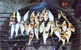 Nghệ An: Cá trích nướng than hoa tại các làng biển Hải Châu bất ngờ hút khách