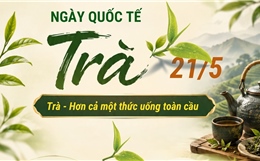 Trà - Hơn cả một thức uống toàn cầu