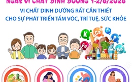 Vi chất dinh dưỡng rất cần thiết cho sự phát triển tầm vóc, trí tuệ, sức khỏe