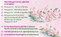 Lễ hội Sen Hà Nội 2026: Hội tụ tinh hoa văn hóa và sáng tạo từ hoa sen