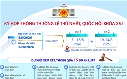 Kỳ họp không thường lệ thứ Nhất, Quốc hội khóa XVI