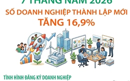 7 tháng năm 2026: Số doanh nghiệp thành lập mới tăng 16,9%