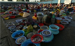 Nét quê ở chợ phường Vị Thanh (Cần Thơ)