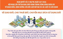 Nghị quyết số 21-NQ/TW: Giao đất, cho thuê đất, chuyển mục đích sử dụng đất 