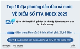 Top 10 địa phương dẫn đầu cả nước về điểm số FTA Index 2025
