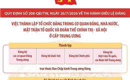 Quy định số 208-QĐ/TW: Việc thành lập tổ chức đảng trong cơ quan Đảng, Nhà nước, Mặt trận Tổ quốc và đoàn thể chính trị - xã hội ở cấp trung ương
