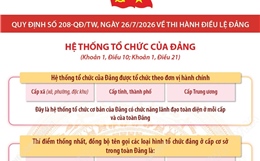 Quy định số 208-QĐ/TW: Hệ thống tổ chức của Đảng