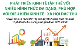 Phát triển kinh tế tập thể với nhiều hình thức đa dạng, phù hợp với điều kiện đặc thù