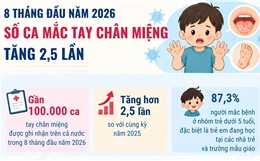 Số ca mắc tay chân miệng tăng 2,5 lần