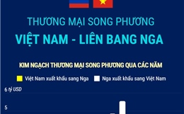 Thương mại song phương Việt Nam - Liên bang Nga