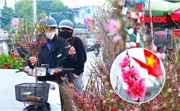 Chợ hoa Quảng Bá ngập tràn sắc xuân, người dân Hà Nội nô nức ghé thăm