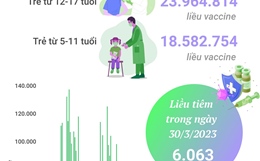 Tình hình tiêm vaccine phòng COVID-19 tại Việt Nam tính đến hết ngày 30/3/2023