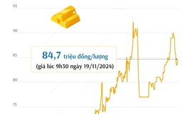 Vàng SJC sáng 19/11 có giá 84,7 triệu đồng/lượng