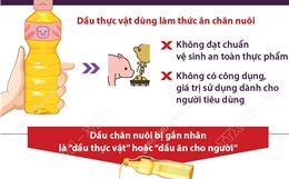 Chế biến dầu chăn nuôi thành dầu ăn cho người: Vi phạm nghiêm trọng quy định an toàn thực phẩm