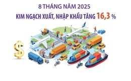 8 tháng năm 2025: Kim ngạch xuất, nhập khẩu tăng 16,3%
