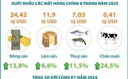 8 tháng năm 2025: Xuất khẩu nông, lâm, thủy sản tăng 12%