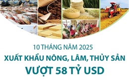10 tháng năm 2025: Xuất khẩu nông, lâm, thủy sản vượt 58 tỷ USD