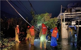 Bão số 13: Lực lượng chức năng tỉnh Đắk Lắk khẩn trương khắc phục hậu quả trong đêm