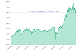 Phiên 11/11/2025: VN-Index tăng 13,07 điểm