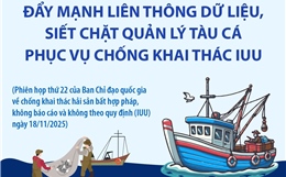 Đẩy mạnh liên thông dữ liệu, siết chặt quản lý tàu cá phục vụ chống khai thác IUU
