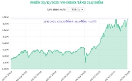 Phiên 23/12/2025: VN-Index tăng 21,12 điểm