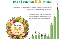 Xuất khẩu rau quả 'lội ngược dòng' ấn tượng, đạt kỷ lục 8,5 tỷ USD trong năm 2025