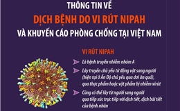 Thông tin về dịch bệnh do vi rút Nipah và khuyến cáo phòng chống tại Việt Nam