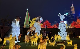 Kỳ ảo lễ hội ánh sáng tại Hong Kong (Trung Quốc)