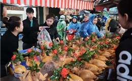 Người dân Hà Nội đội mưa rét đi chợ sớm sắm lễ cúng ông Công, ông Táo