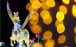 Không khí chờ đón Tết Nguyên đán tại một số quốc gia