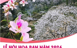 Lễ hội Hoa Ban năm 2026: Điểm hẹn mùa Xuân hấp dẫn