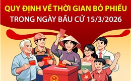 Quy định về thời gian bỏ phiếu trong ngày bầu cử 15/3/2026