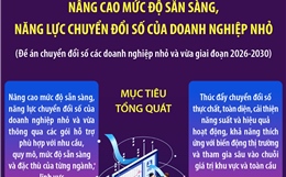 Nâng cao mức độ sẵn sàng, năng lực chuyển đổi số của doanh nghiệp nhỏ