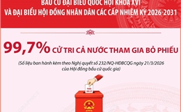Bầu cử Quốc hội và HĐND: 99,70% cử tri cả nước tham gia bỏ phiếu