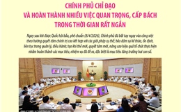Chính phủ chỉ đạo và hoàn thành nhiều việc quan trọng, cấp bách trong thời gian rất ngắn