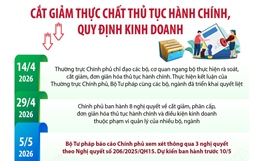 Cắt giảm thực chất thủ tục hành chính, quy định kinh doanh