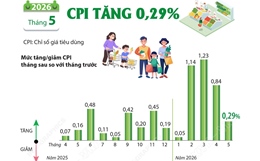 CPI tháng 5/2026 tăng 0,29%