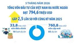 5 tháng năm 2026: Đầu tư của Việt Nam ra nước ngoài đạt 794,6 triệu USD