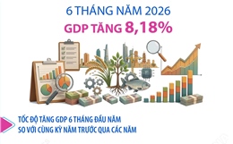 Đồ họa GDP 6 tháng năm 2026