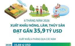 Sáu tháng năm 2026: Xuất khẩu nông, lâm, thủy sản đạt gần 35,9 tỷ USD   