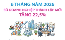 6 tháng năm 2026: Số doanh nghiệp thành lập mới tăng 22,5%